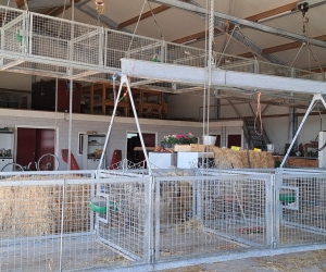 Gebruikte kraamhokken voor schapen 