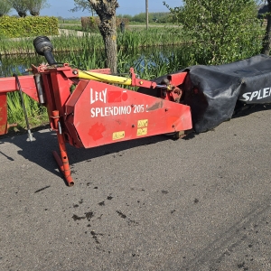 Lely-splendimo (1)